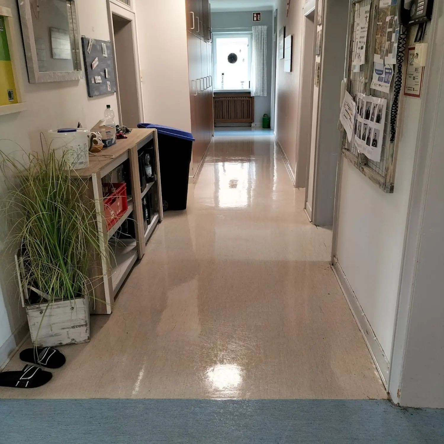 Gereinigter Boden von Clean Max Pro 